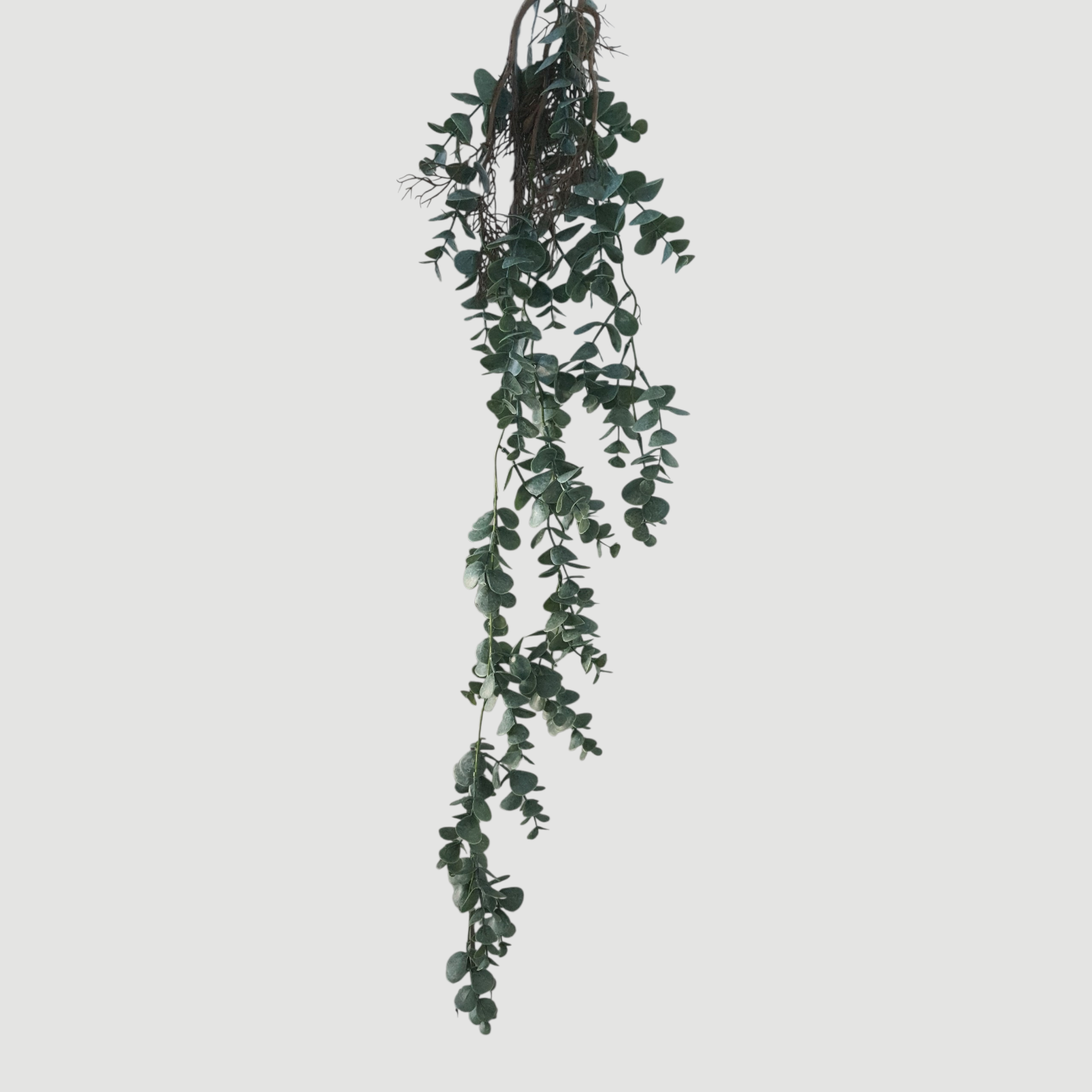 BRYNXZ Eukalyptus Hänger grau/grün 120 cm