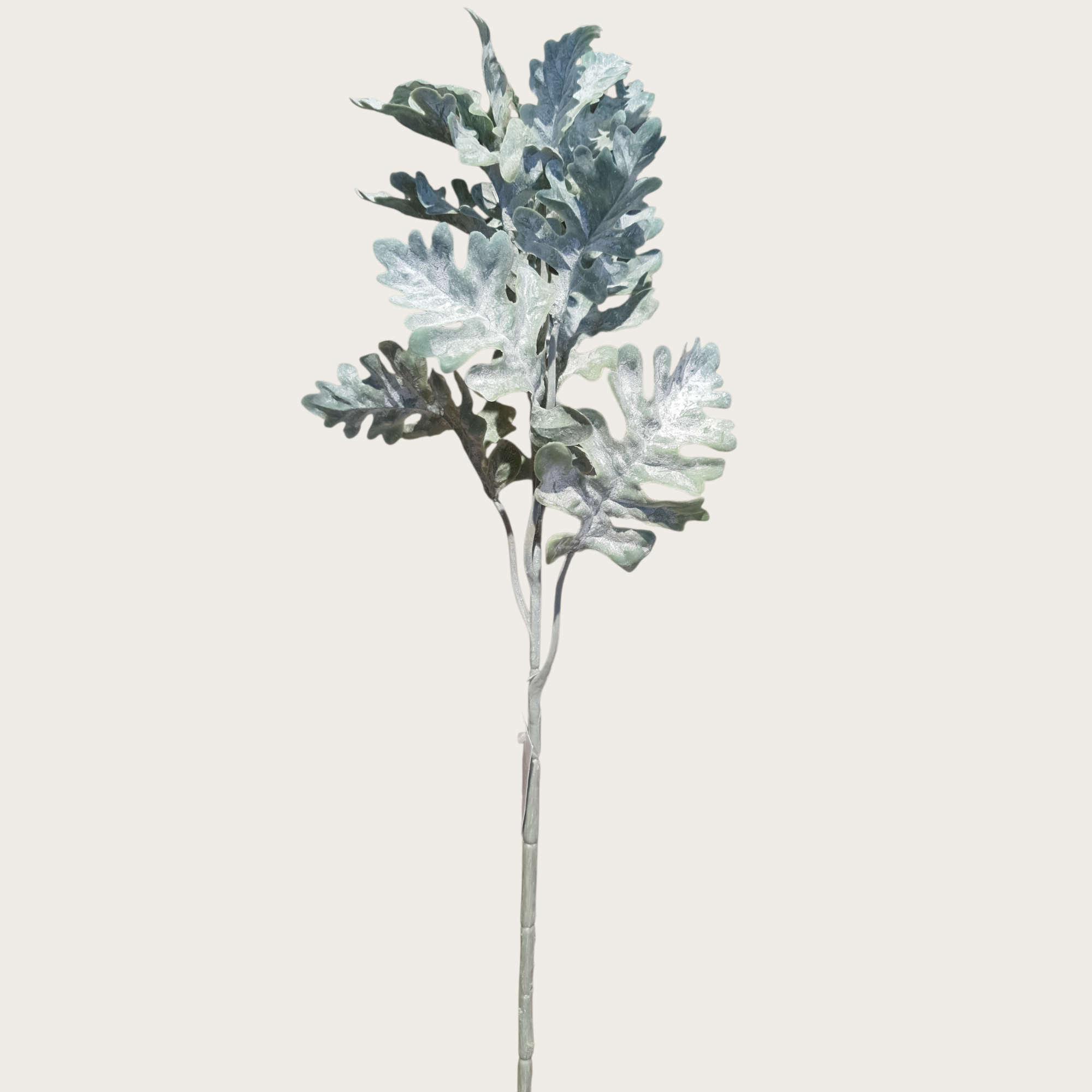 Silberblatt grau 46 cm